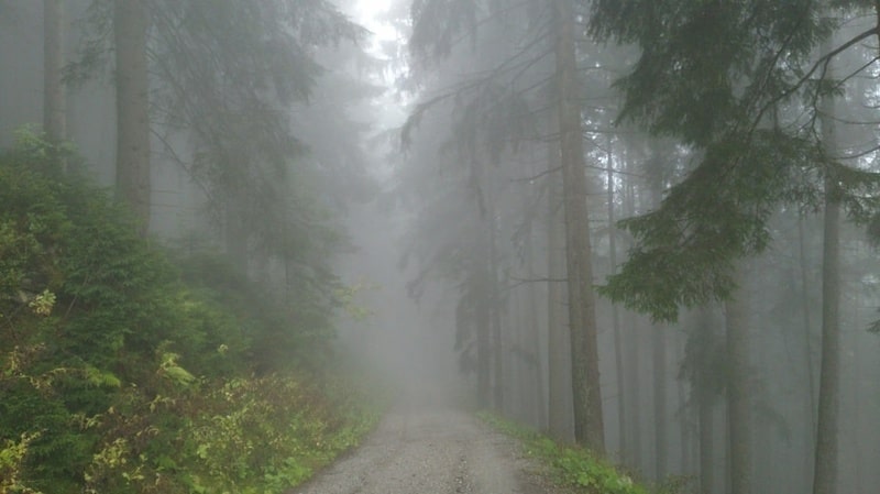 自分を嫌いになるのが最悪のパターンです