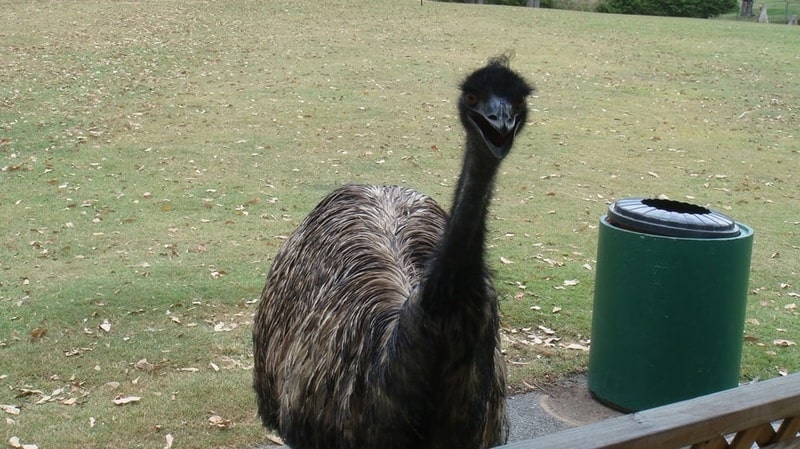 英語で英語を説明できるようになろう