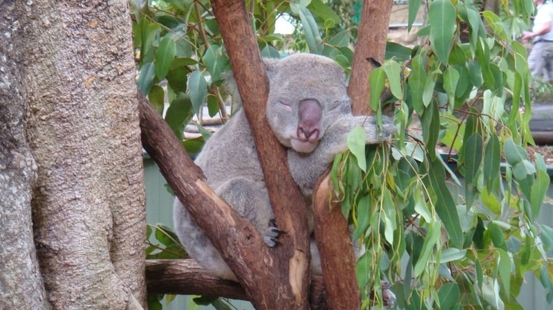 固定観念を取り払う