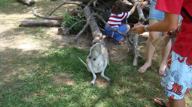 最初が一番大変です