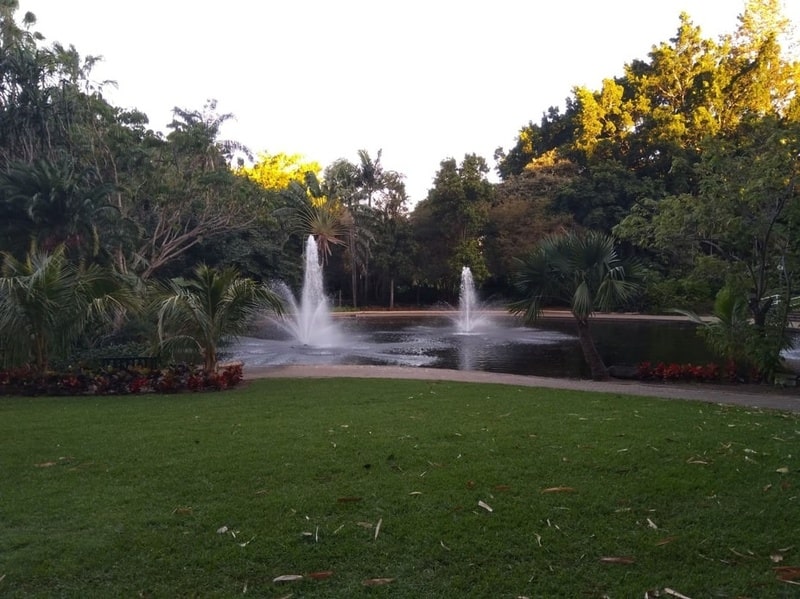 英語は使わないと成長しない