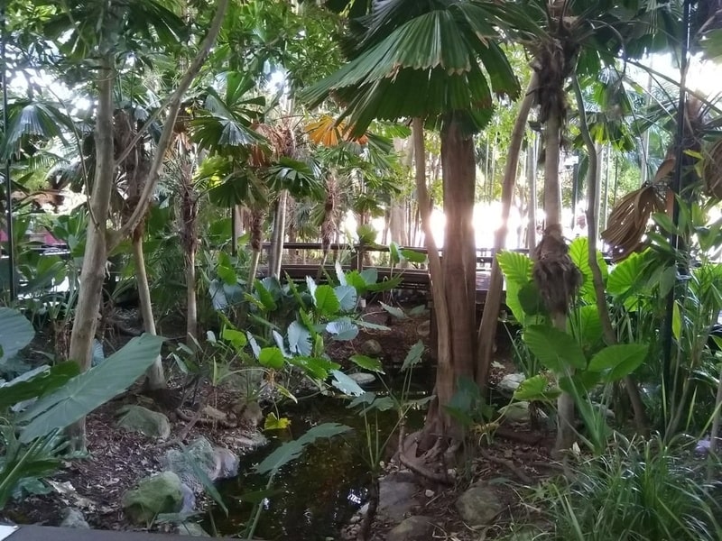 自己紹介は何度もすることになるので練習しておきましょう