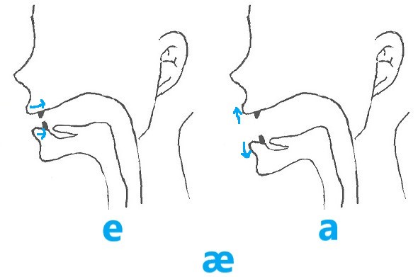 A の発音5種類と見分け方を解説