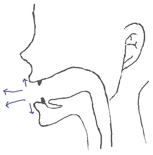 æの発音方法-2 æの発音方法-2