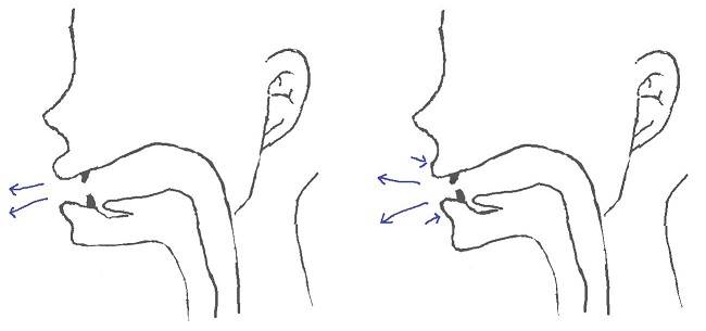 ɔɪの発音方法 ɔɪの発音方法