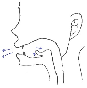 ɔ:rの発音方法 ɔ:rの発音方法