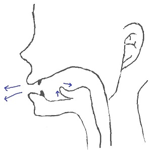 ɜ:rの発音方法 ɜ:rの発音方法