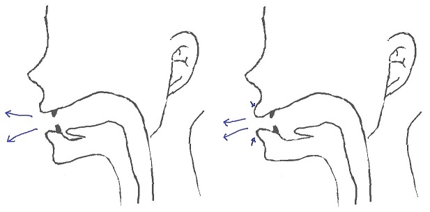 ɪəの発音方法 ɪəの発音方法
