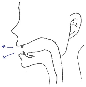 i:の発音のしかた i:の発音のしかた
