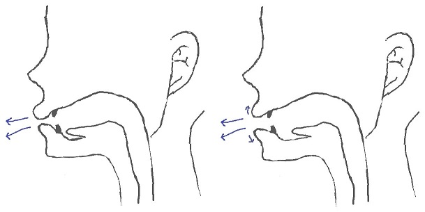 ʊəの発音方法 ʊəの発音方法