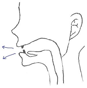 ʌの発音方法 ʌの発音方法