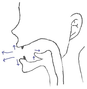 ɑ:rの発音方法 ɑ:rの発音方法