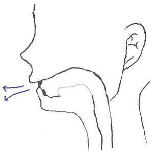Vの発音は口と歯の型を真似すれば誰でもすぐにできる 図で解説