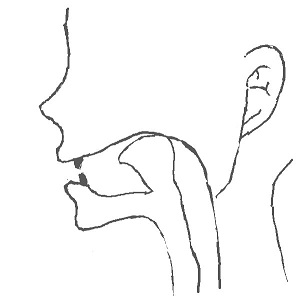 k・gの舌の位置-1