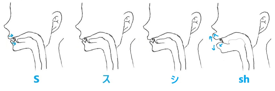 苦手な S と Sh の発音は口の形で簡単に使い分けられる