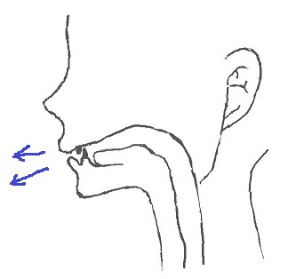 s・zの発音方法
