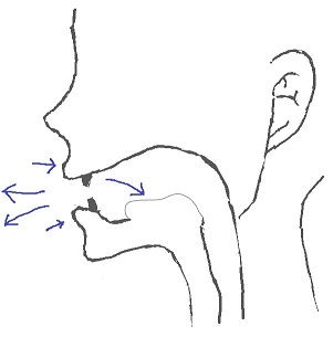 tʃ・dʒの発音方法-2