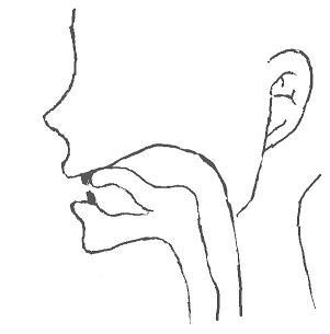 tの舌の位置（予備動作）