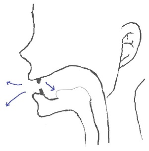 tの舌の位置（音を出すとき）