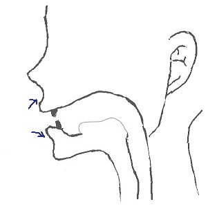 Wの発音のしかた 口を前に出してから引く
